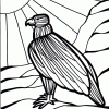 Hawk coloring page