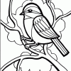 Wren coloring page