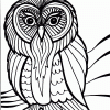 Owl Coloring Page