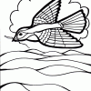 Sparrow coloring page