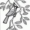 Blue Jay coloring page