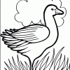 Duck coloring page