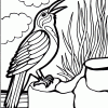 Crow coloring page