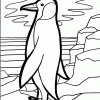 Penguin Coloring Page