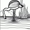 Flamingo Coloring Page