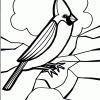 Male Cardinal coloring page