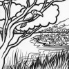 Jungle bird coloring page