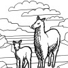 Lama coloring page