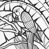 Rainforest parrot printable coloring page