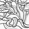 Rainforest 2t