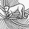 Rainforest lemur coloring page