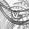 Rainforest sloth coloring page