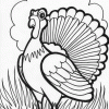 Thanksgiving Turkey coloring page