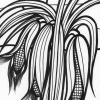 Thanksgiving corn coloring page