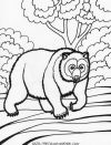 animal 19t animal 19t