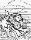 animal 20t animal 20t