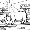 animal 6t animal 6t