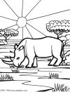 animal 6t animal 6t