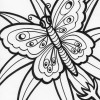 butterfly blooming flower coloring page