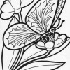 butterfly and flower coloring page