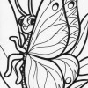 butterfly profile coloring page