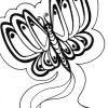 butterfly in motion coloring page