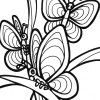 butterflies sitting coloring page
