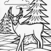 deer coloring page