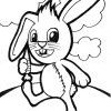 Funny Bunny Funny Bunny