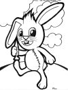 Funny Bunny Funny Bunny