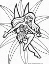 fairies