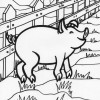 farm pig coloring page farm pig coloring page