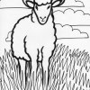 farm lamb coloring page farm lamb coloring page