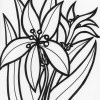 iris flower coloring page