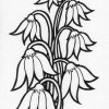 moon flower coloring page