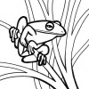 jumping frog coloring page jumping frog coloring page