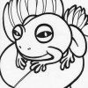 Fat frog Fat frog