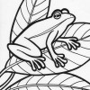 sideways frog coloring page sideways frog coloring page