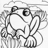 frog 1t frog 1t
