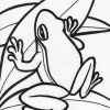 Frog 2t Frog