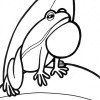 frog neck coloring page frog neck coloring page