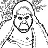 gorilla coloring page