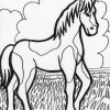 spotted horse coloring page