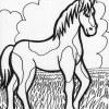 Horse Horse