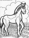 Horse Horse