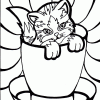 kitten in cup coloring page