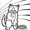 kitten eating coloring page