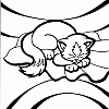 kittten 18 t kittten 18 t