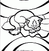 kittten 18 t kittten 18 t