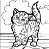 Kitten Standing coloring page